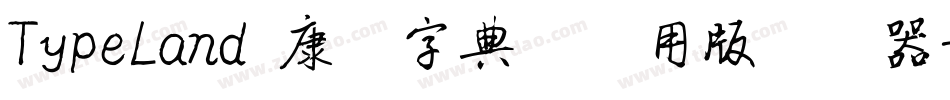TypeLand 康煕字典體试用版转换器字体转换